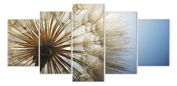 Quadro contemporaneo Ammirazione della delicatezza - primo piano di un fiore di dente di leone