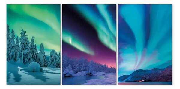 Quadro Sogno polare - vista invernale su un'aurora boreale colorata tra alberi innevati