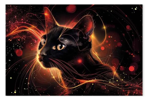 Quadro Creatura magica - gatto in composizione oscura con accenti rossi