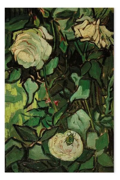 Quadro famoso Vincent Van Gogh - Rose e Scarabeo