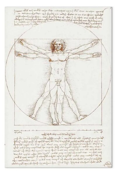 Quadro famoso Leonardo da Vinci - Uomo vitruviano