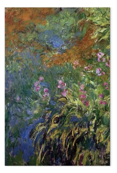 Riproduzione Claude Monet - Iride