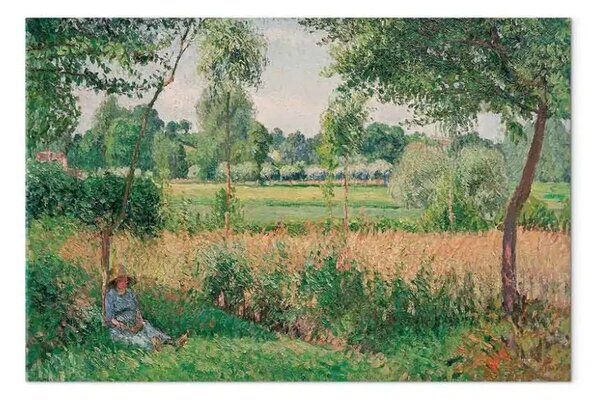 Quadro famoso Camille Pissarro - Morning Sunlight Effect, Eragny