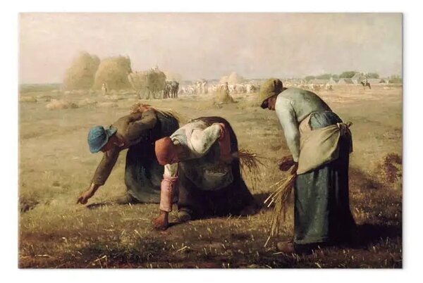 Quadro famoso Jean-François Millet - Donne che raccolgono spighe di grano