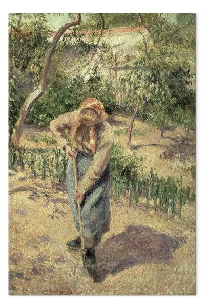 Riproduzione Camille Pissarro - Donna che scava in un frutteto