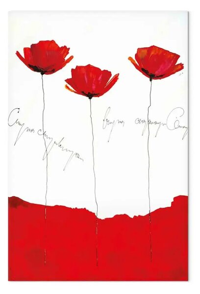 Quadro moderno Papaveri descritti - Fiori su sfondo bianco e rosso