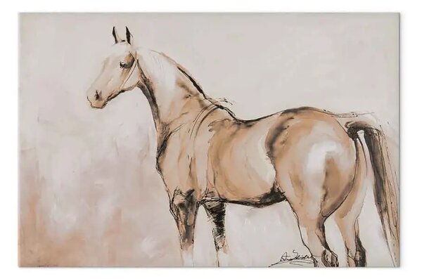 Quadro Cavallo bianco - Schizzo dell’animale su sfondo chiaro