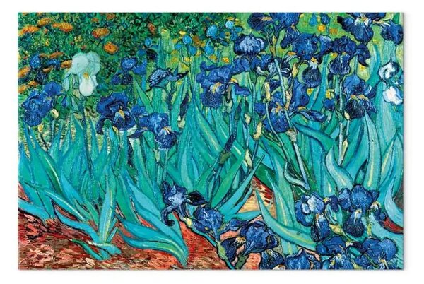 Riproduzione Vincent Van Gogh - Iris – Saint Remy