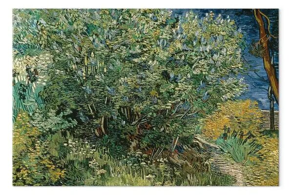 Riproduzione quadro Vincent Van Gogh - Lillà