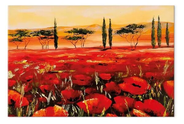 Quadro Campo fiorito in Toscana - papaveri rossi e alberi