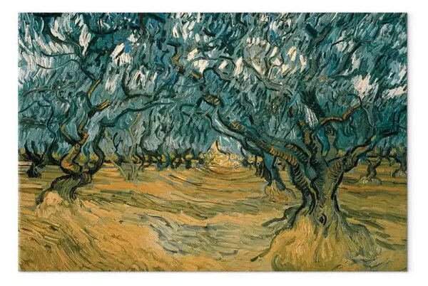 Quadro famoso Vincent Van Gogh - Ulivi