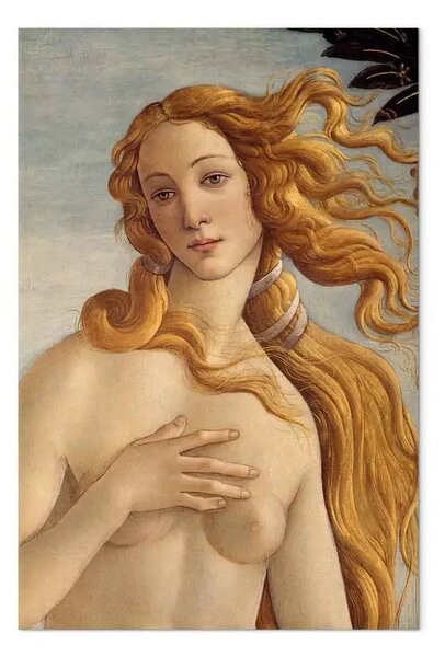 Riproduzione Sandro Botticelli - La nascita di Venere