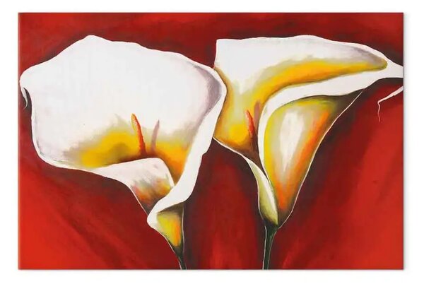Quadro Duo floreale incantevole - due calle bianche su sfondo rosso