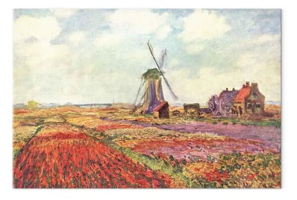 Riproduzione Claude Monet - Campi di tulipani con un mulino a Rijnsburg