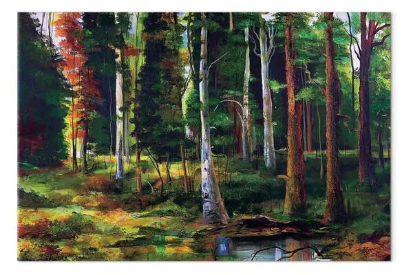 Quadro moderno Incanti della foresta - bellissimi alberi in paesaggio boschivo colorato