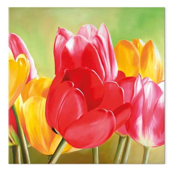 Quadro su tela Freschezza dei tulipani - fiori colorati su sfondo verde