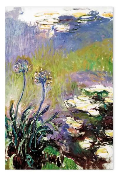 Riproduzione Claude Monet - Agapanthus