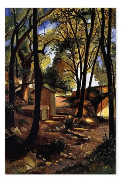 Riproduzione quadro André Derain - La Fontana di Olieres