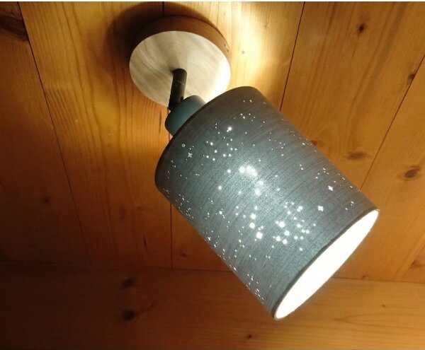 Briloner 2078-011 - Faretto da parete SPOTLIGHT 1xE27/25W/230V beige