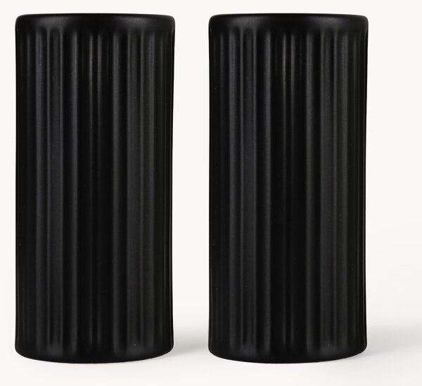 Set saliera e pepiera con struttura scanalata Goove 2 pz