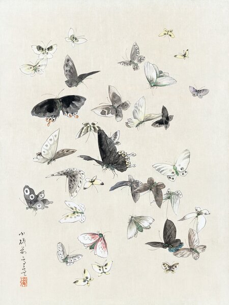 Stampa artistica Butterflies Moths 1 of 2 - Katsushika Hokusai, (30 x 40 cm)