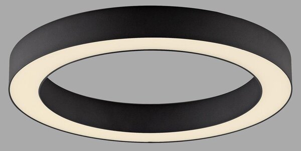 PAUL NEUHAUS Lampada da soffitto a LED PURE Lines rotonda, grafite 2200-5000K
