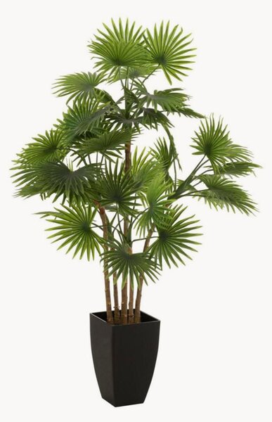 Pianta artificiale Fan con vaso