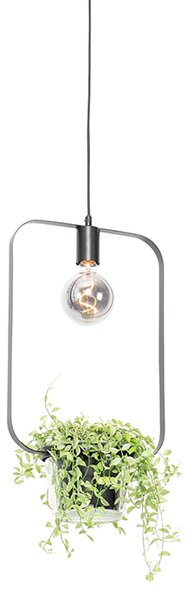 Lampada a sospensione moderna nera con vetro rettangolare - Roslini