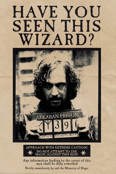 Posters, Stampe Harry Potter - Wanted Sirius Black