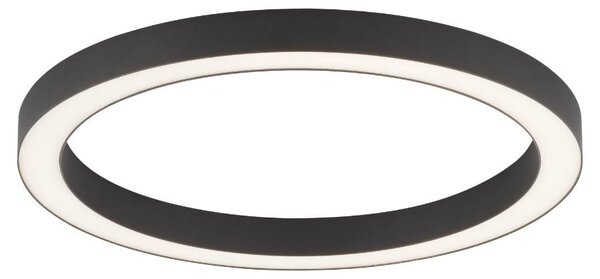 Plafoniera LED rotonda con telecomando PURE-LINES antracite-bianco 30W Tonalità di bianco 2800 lm metallo dimensioni: 4x50x50 cm IP20 Paul Neuhaus