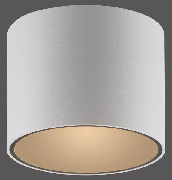 PAUL NEUHAUS PURE Point, plafoniera a LED, bianca, dimmerabile per interni, 2700 K