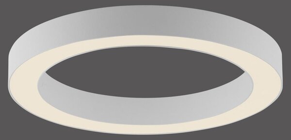 PAUL NEUHAUS Lampada da soffitto a LED PURE Lines, rotonda, bianca, dimmerabile, 2200–5000 K
