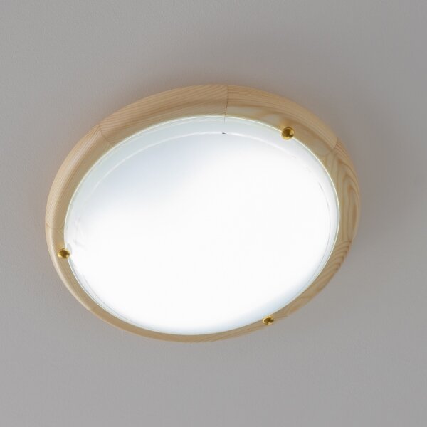 Rabalux 5411 - Plafoniera UFO 1xE27/60W/230V