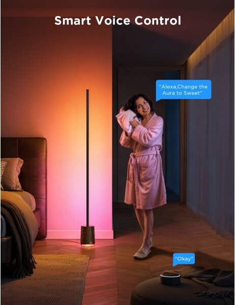Govee - Lampada LED da terra con altoparlante Pro RGBICWW Wi-Fi + +TC
