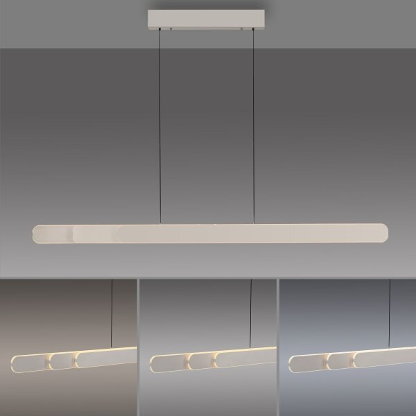 Schöner Wohnen 12577-39 - Lampada a sospensione dimmerabile su cavo ADRIANA 2xLED/24W/230V grigia