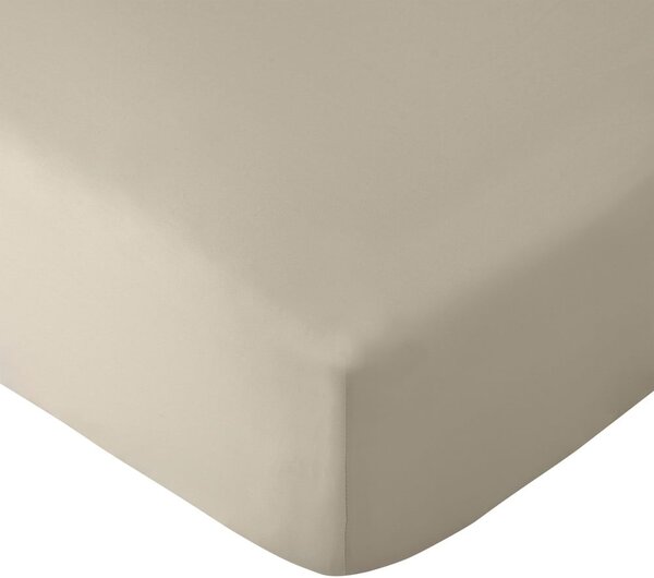 Lenzuolo elasticizzato beige 90x190 cm So Soft Easy Iron - Catherine Lansfield