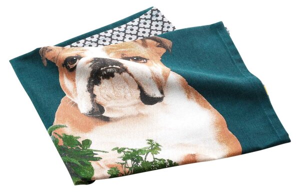 Asciugamano in cotone 50x70 cm Hot dog - douceur d'intérieur