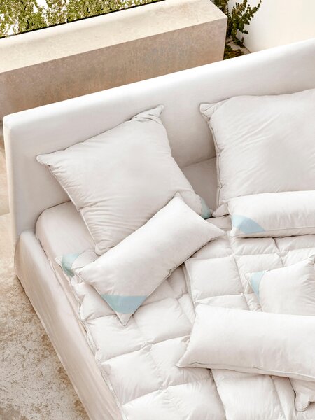 Federe Cuscino 50x70 Cm Set 2 - Microfibra Ricamata, Certificato OEKO-TEX, Antracite