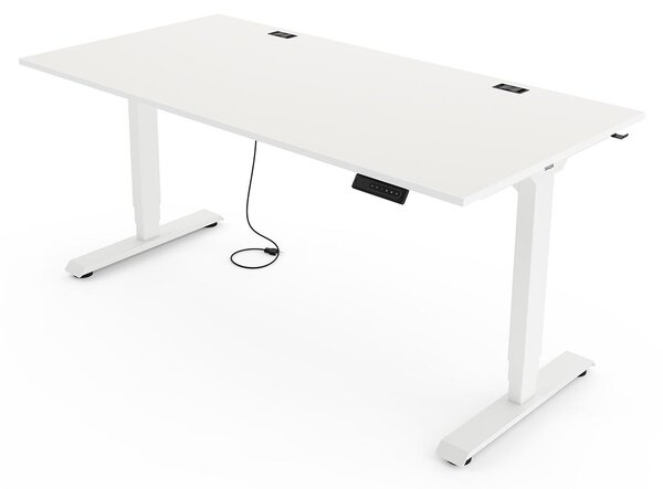 Yaasa Desk Essential Scrivania regolabile in altezza elettricamente 120 x 80 cm, bianco/bianco – 4 posizioni memorizzabili, indicatore di altezza, sensore antiurto e rete porta cavi