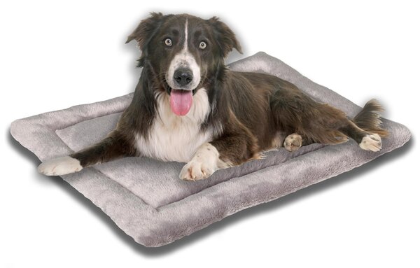 Cuccia per cani, 80x60 cm - Ipoallergenica e lavabile