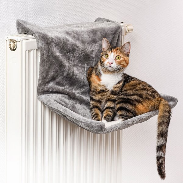 Abbeveratoio per gatti grigio 45x26x31 cm circa