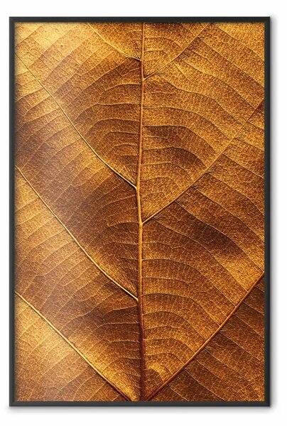 Poster: Foglia d'autunno - texture dorata foglia