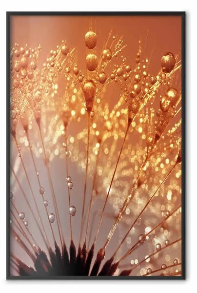 Poster: Soffione d'autunno - fiore naturale della pianta in primo piano