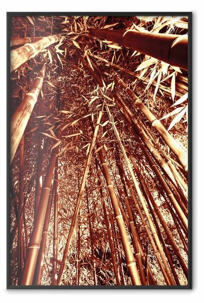 Poster: Bambù alti - alberi di bambù naturali in una luce marrone