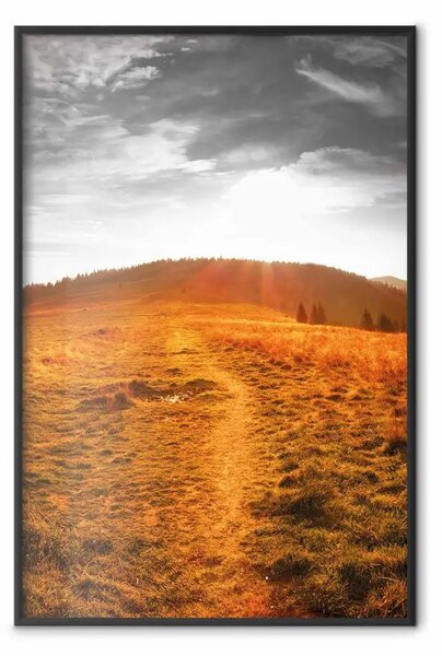 Poster: Idillio - paesaggio naturale su sfondo di prato al sole