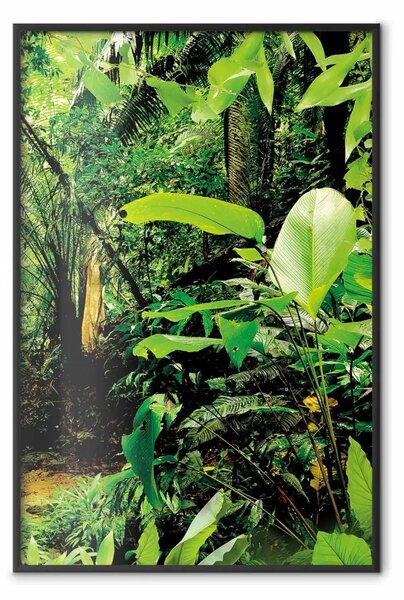 Poster: Polmoni della terra - giungla sullo sfondo di foglie verdi