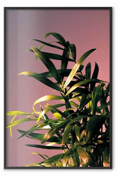 Poster: Dettaglio botanico - foglie verdi illuminate su sfondo rosa