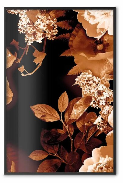 Poster: Notte di settembre - fiori autunnali su sfondo nero
