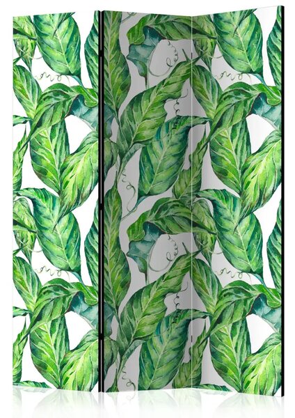 Paravento design Foglie lunghe - modello di piante tropicali su sfondo bianco