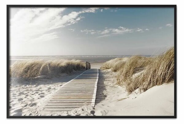 Poster: Spiaggia abbandonata - sentiero di legno sulla spiaggia